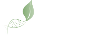 Cyterra